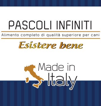Numero Uno - Pascoli Infiniti