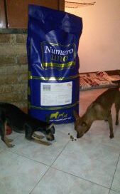 Siry-e-Pinko-1-169x300