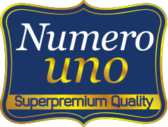 Numero Uno