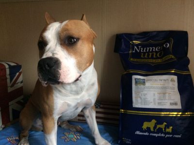 img-20161001-wa0007