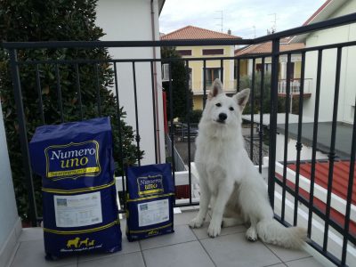 leila di venerucci massimiliano