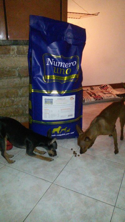 Siry e Pinko
